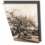 Reproduktsioon The Parsonage Garden at Nuenen in Winter