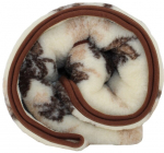 Tekk 155 x 200, muster lehtedes, Merino vill 100%