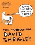What The Hell Are You Doing?: The Essential David Shrigley: The Essential David Shrigley Main