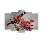 Viieosaline reproduktsioon Liblikas