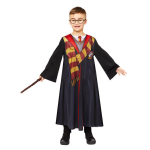 Laste kost&uuml;&uuml;m Harry Potter, 4-6 aastat