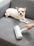 Anti-hair brush - Rellair - InnovaGoods - Eco-friendly - Reusable - Multifunctional