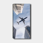 Reproduktsioon Lennuk