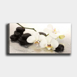 Reproduktsioon Orhidee