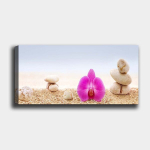 Reproduktsioon Orhidee