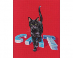 Ristpistes tikkimiskomplekt "Kass", 29 x 30, RTO