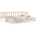 vidaXL lahtik&auml;iv p&auml;evavoodi, 2 x (80x200) cm, m&auml;nnipuit