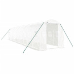 Kasvuhoone vidaXL, 20 m&sup2;, 10x2x2 m