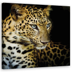 Seinapilt Majesteetlik leopard, 40x40 cm