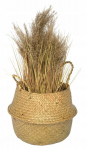 Natural woven seagrass basket M