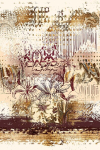 Asir vaip, 140x220 cm