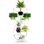 Lillealus Sylvan, valge