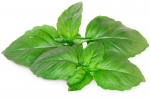 Marseille basiilik Click & Grow Smart Garden refill, 3tk