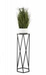 Taimealus, must, 70 cm