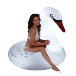 T&auml;ispuhutav ujumisr&otilde;ngas