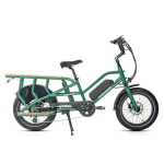 Elektriline kargoratas Jobobike Transer, Green