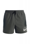 Nike Ujumis&scaron;ortsid Logo Solid 5""In Short Gray NESSA566 018