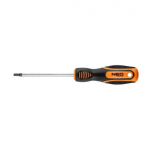 Kruvikeeraja torx T25x100mm