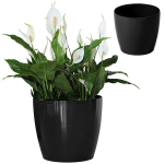 MAGNOLIA 360 lillepoti kate - must LA207-04 Lamela