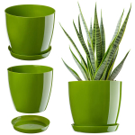 Lillepott alusega Plastik kate Lillepott 12cm Roheline Kadax Flowersile