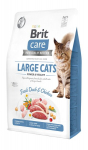 Brit Care Cat Grain-Free Large cats Power Vitality kassitoit 7 kg