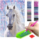 Diamond 5d mosaiikkikomplekt 30x40cm hobune helmed poni valge