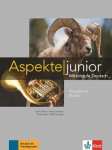 Aspekte Junior: Ubungsbuch B1 Plus Plus Audios Zum Download