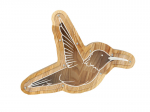 Humaraha Kolibri
