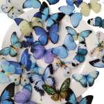 Kleebiste komplekt, Butterfly dream