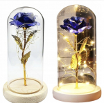 Happy people andy LED-valgustusega dekoratiivne, igavene sinine roos