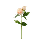 Kunstlill kreemikas pojeng, 70 cm., 2 tk.