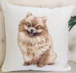 Kahepoolsne padjakate &Scaron;picas, 45x45 cm, 1 tk.