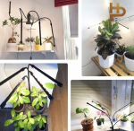 Happy People k&ouml;&ouml;giviljade ja taimede valgustus saagi jaoks