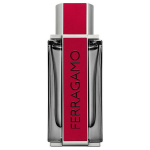 Parf&uuml;&uuml;m meestele Ferragamo RED Leather EDP, 100 ml
