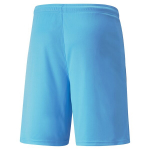 PUMA meeste jalgpalli l&uuml;hikesed p&uuml;ksid PUMA teamLIGA Shorts Blue Atoll-Puma Black - 70492440, sinine