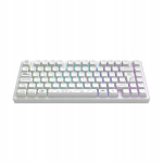 Juhtmeta mehaaniline klaviatuur Dark Project Nova White 81 Rgb