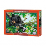 Pusle Castorland Hide and Seek 500 osa