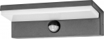 Liikumisanduriga v&auml;lisseina Led-lamp Adviti Pachira 9w Ip54