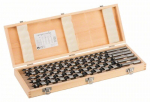 Bosch 6 tk. puidupuurikomplekt 10-20x450mm koos korpusega