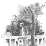 Kalligraafiapliiatsid Faber-castell Ecco Pigment, 8 tk, must