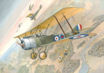 Liimitav mudel Roden 635 Sopwith 11/2 Strutter 1/32