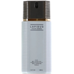 Ted Lapidus Men EDT meestele 100 ml