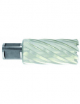 Kroonpuur &Oslash;32X80X50 mm, HSS, pikk seeria. Kinnitus &Oslash;19 mm, Weldon