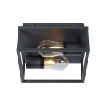 Laevalgusti Lucide 44928 Carlyn