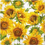 Paberi salvr&auml;tikute komplekt, 20 tk