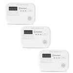 Vingugaasiandur EstAlert 10a LCD, 3 tk