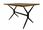 Laud Elin, 120x80x75 cm, pruun