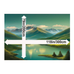 Luksuslik Ka&scaron;miir Vaip, 79 * 118 colių / 200 * 300 cm