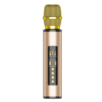 TWS Wireless koos Bluetooth-k&otilde;larite kodupiduga Lastele m&otilde;eldud mikrofoni laulmine- kuld-