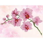 Teemantmosaiik Orcid spray, 27X37 cm